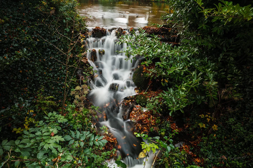 K&F Concept ND Filter Review — Thomas Fitzgerald Photography