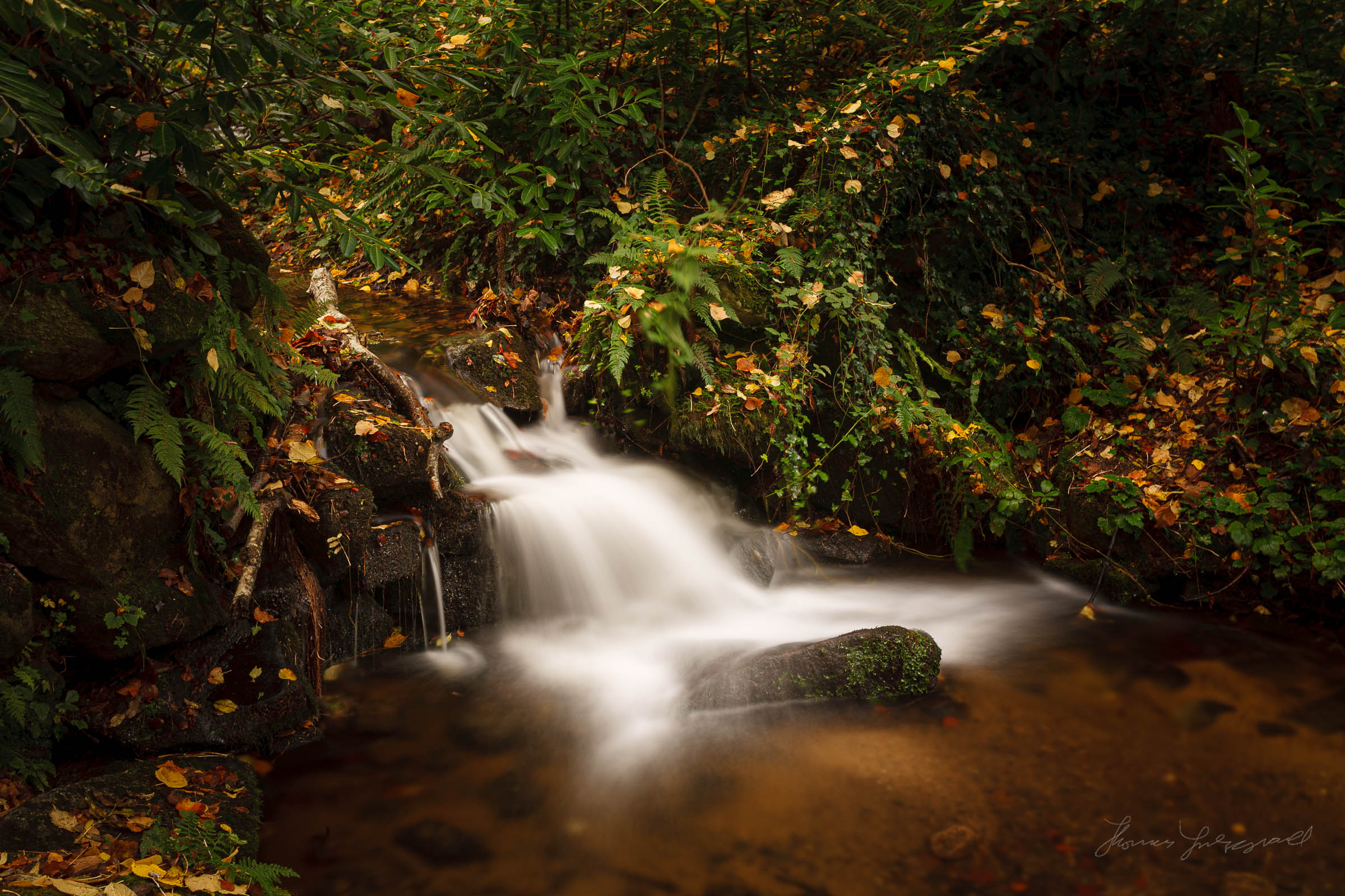 K F Concept Nd Filter Review Thomas Fitzgerald Photography