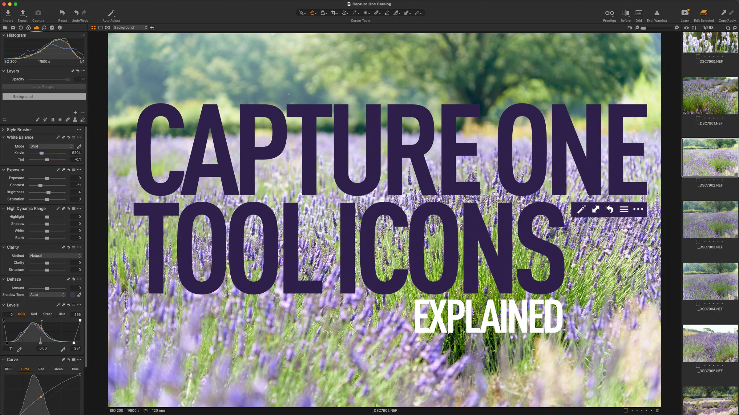 Capture One Beginners Understanding Capture One Tool Panel Icons — Thomas Fitzgerald Photography