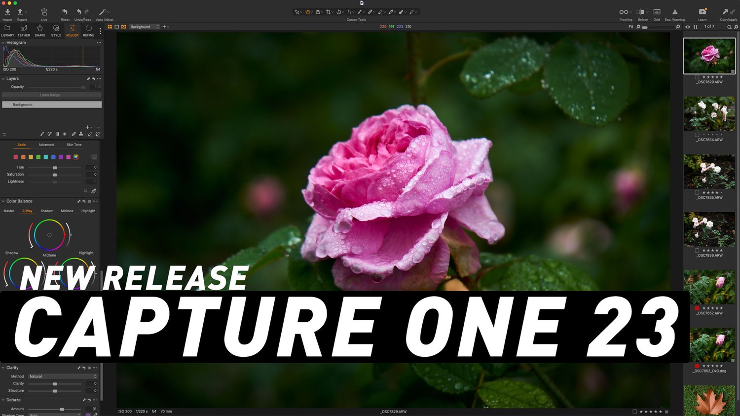 Capture One 23 Released — Thomas Fitzgerald Photography