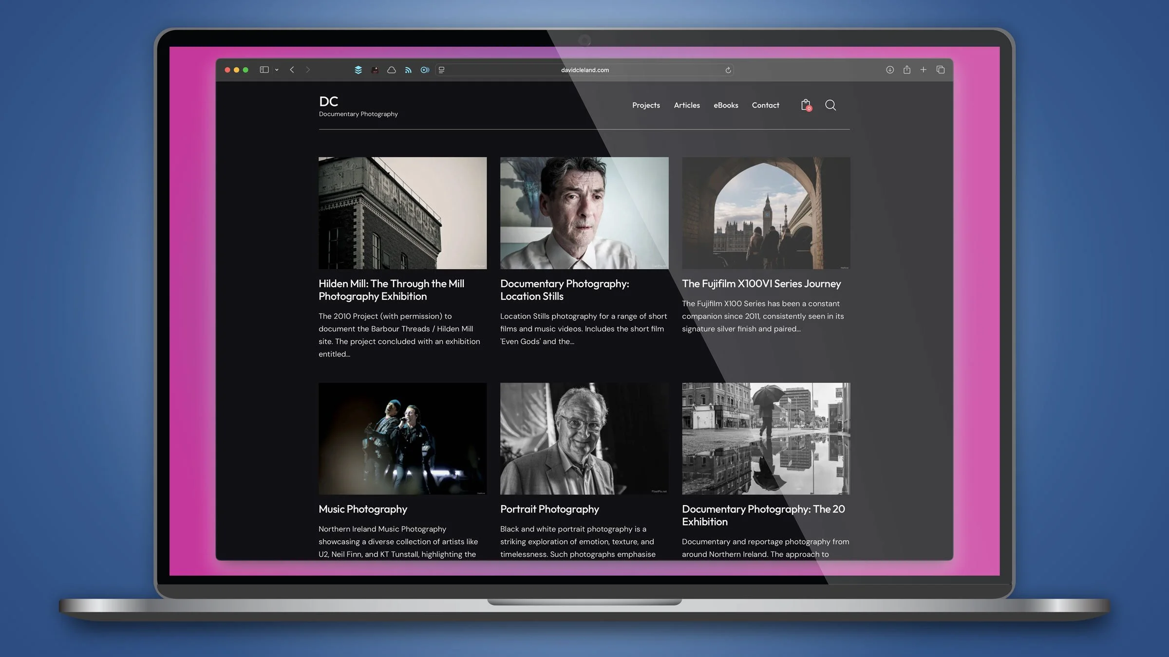 A Hijacked Domain: A Cautionary Tale for Photographers and Artists