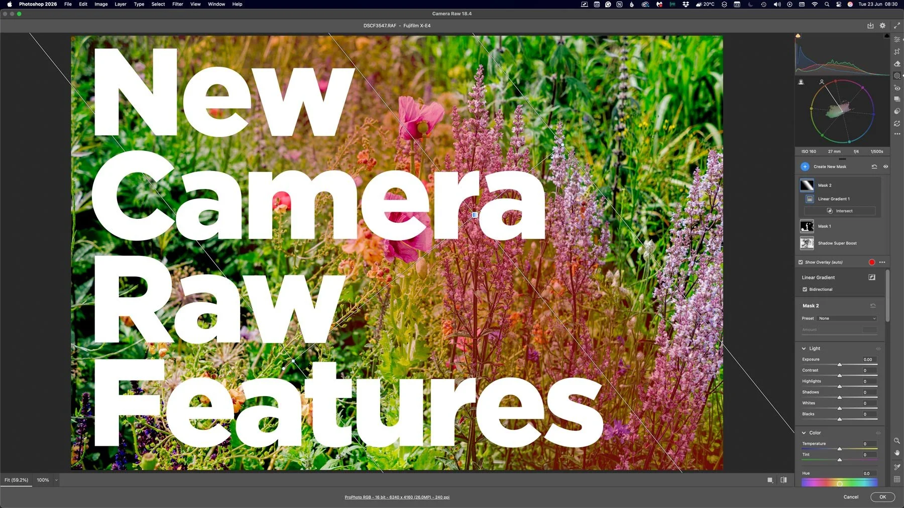 New Camera Raw features that aren't in Lightroom