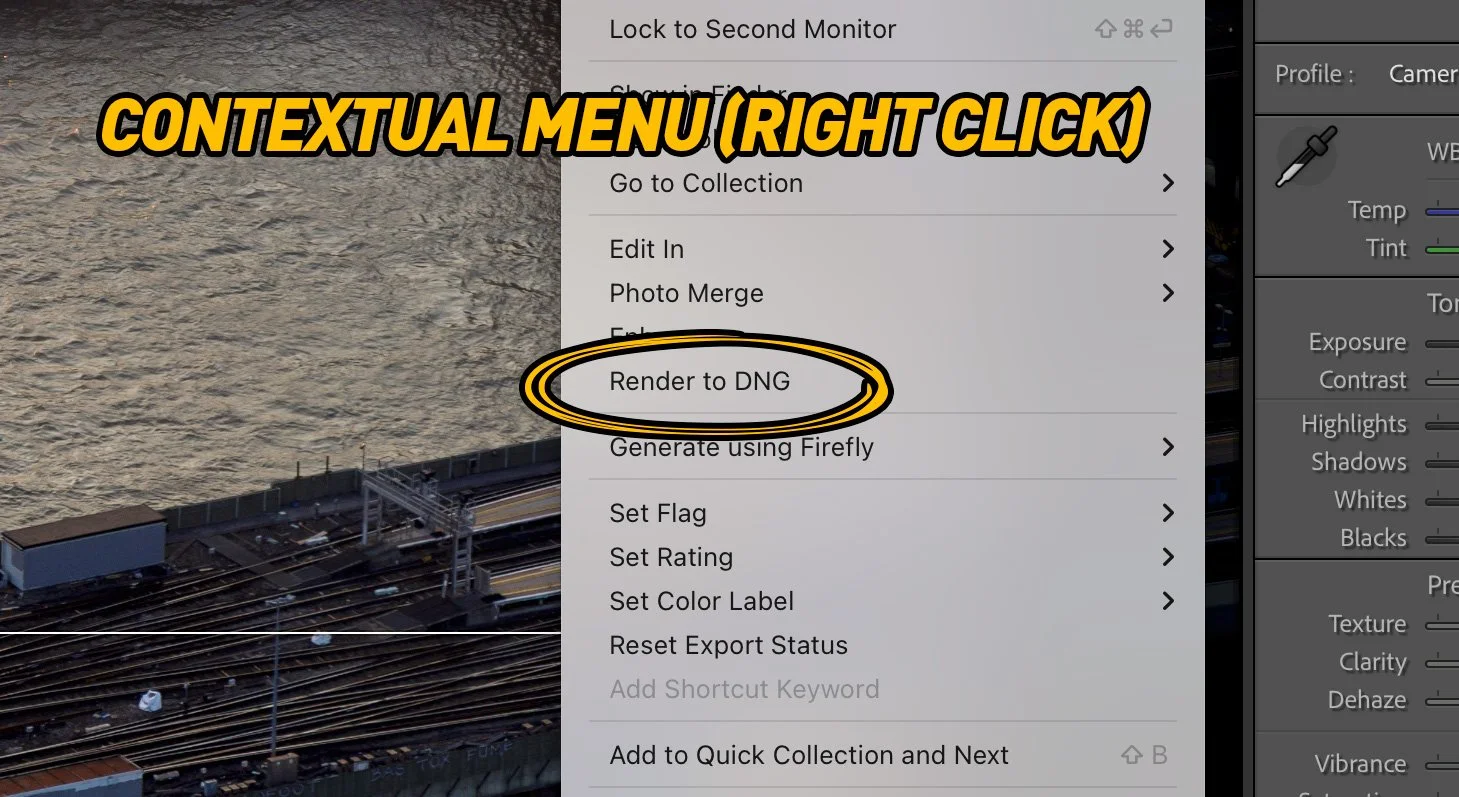 Lightroom Classic 15.5's new render to DNG tool