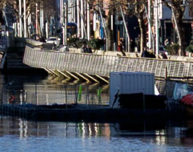 image crop showing moiré fixed by RAW details in Lightroom