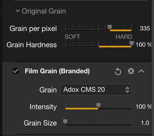 grain settings in Nik Silver Efex