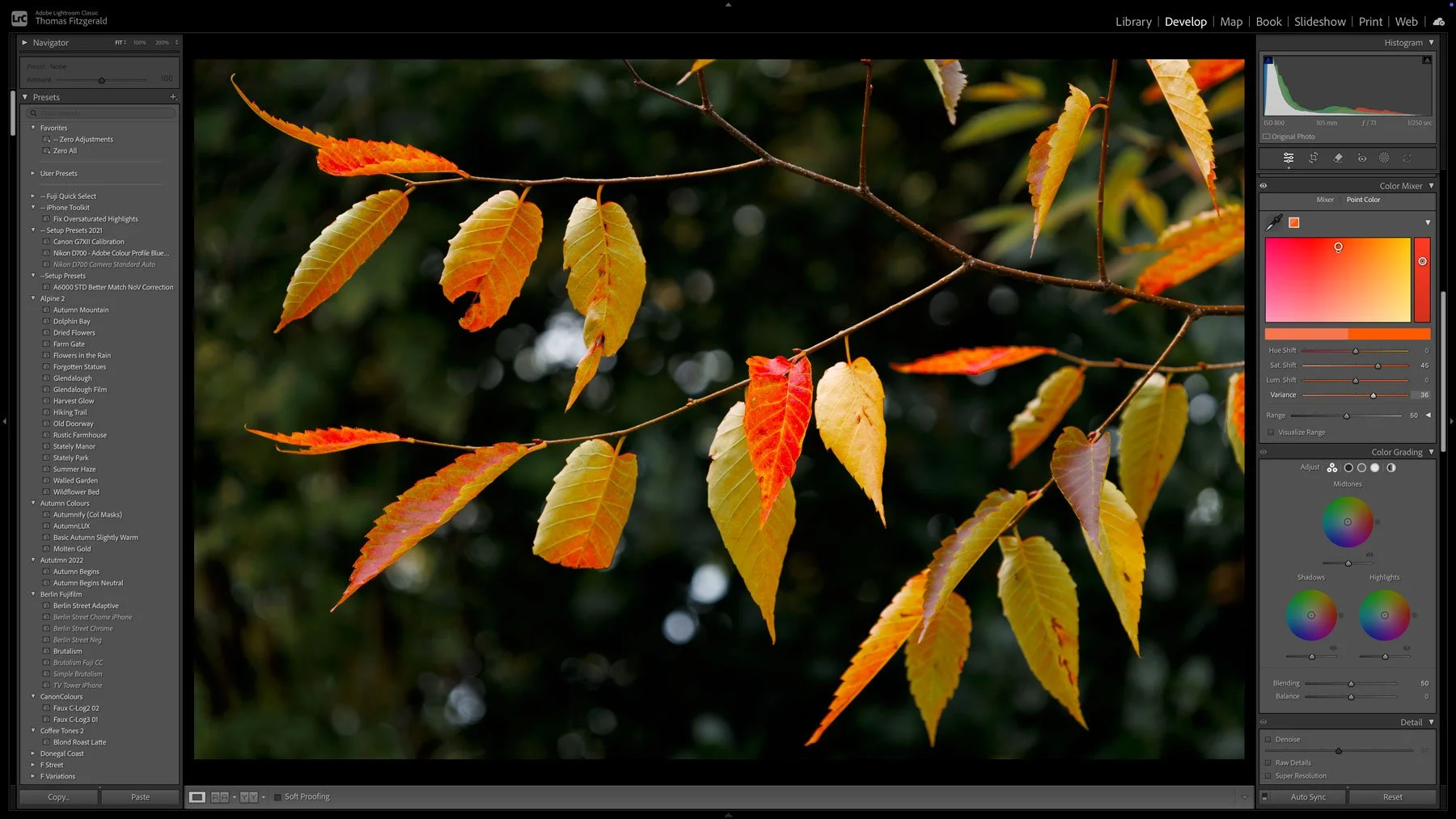 Screenshot from Lightroom 15 showing the new colour variance control in the point colour picker