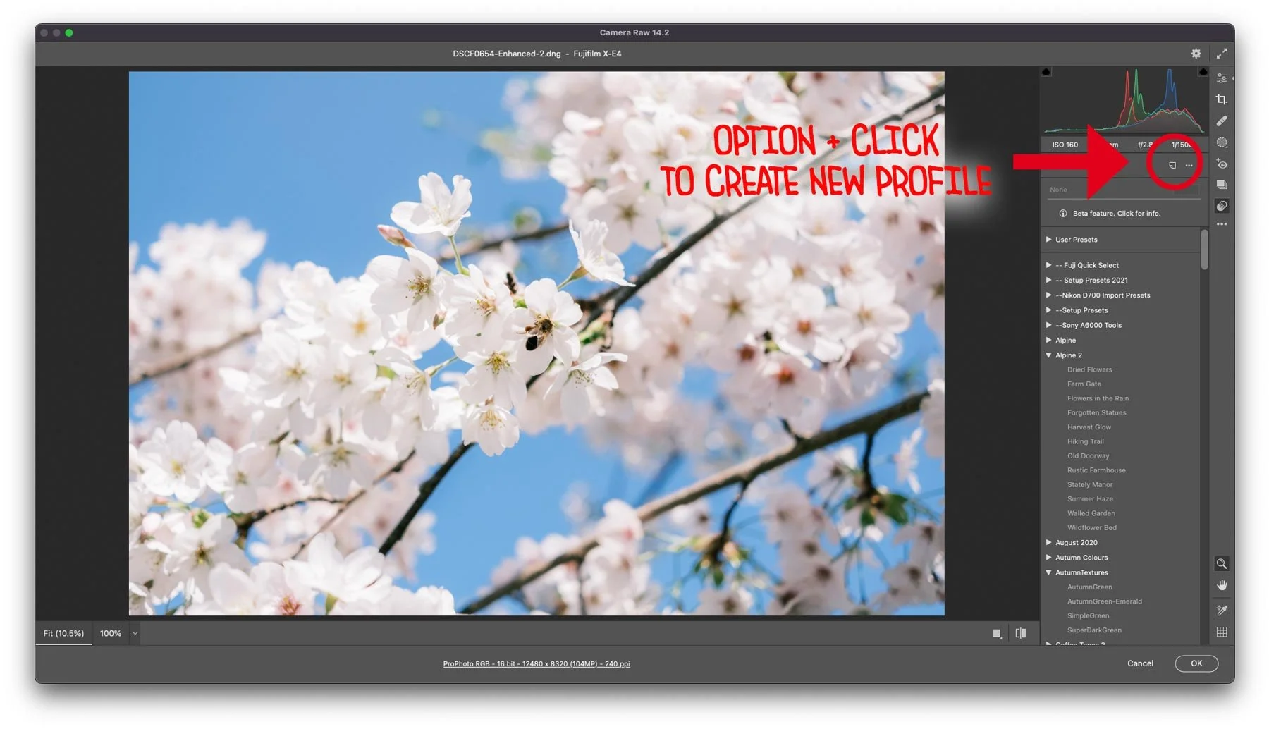 How To Customise Fuji Film Simulation Profiles in Lightroom — Thomas