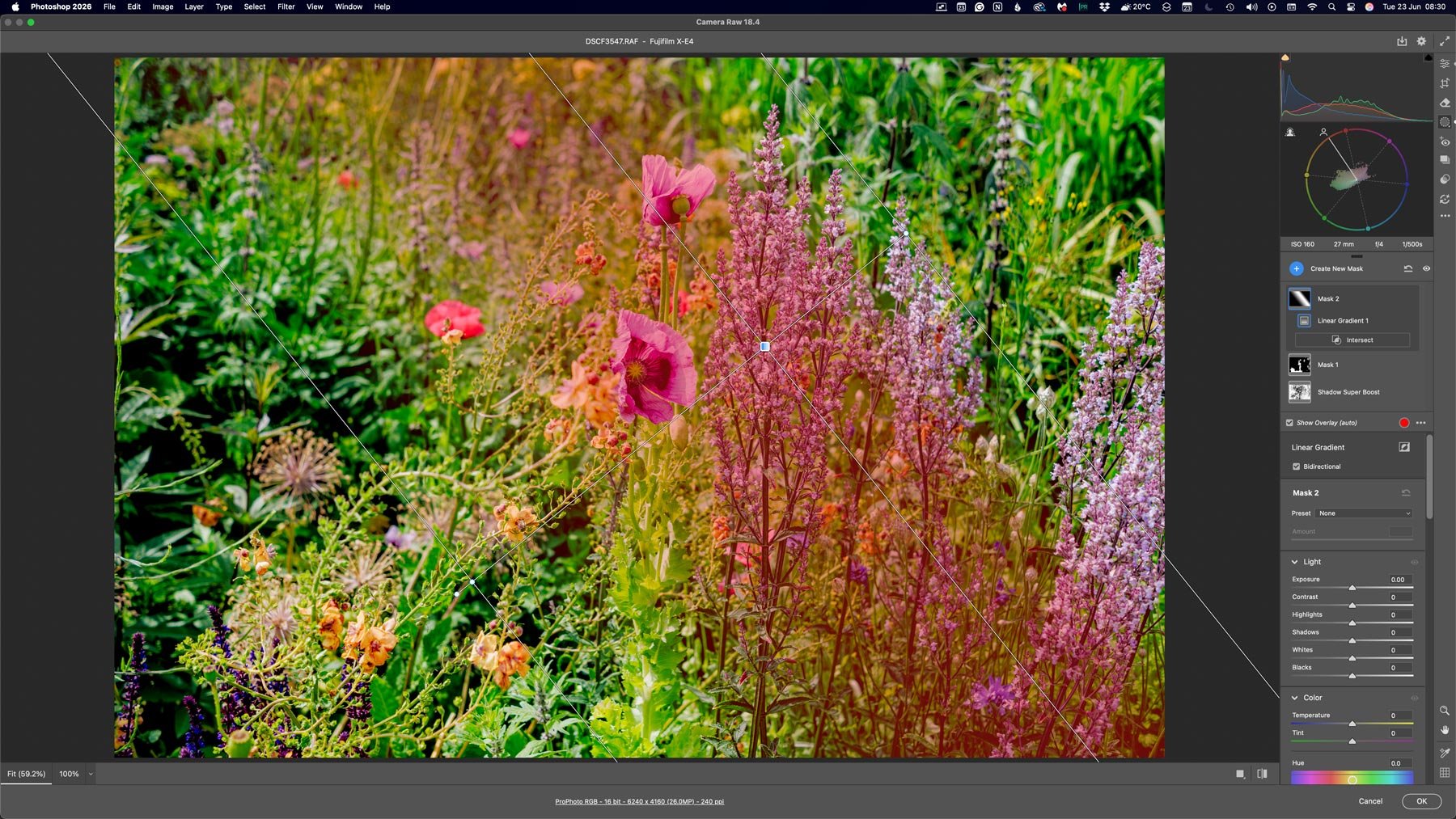New Bidirectional Gradient in Camera RAW
