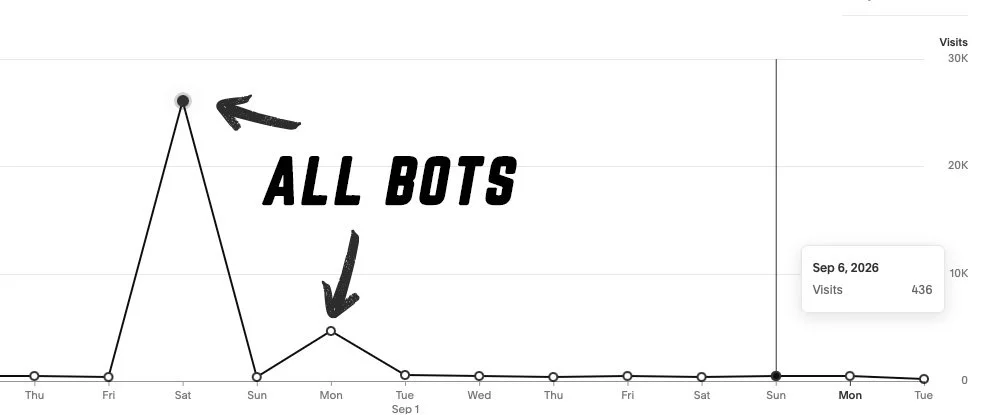 website traffic showing bot spikes