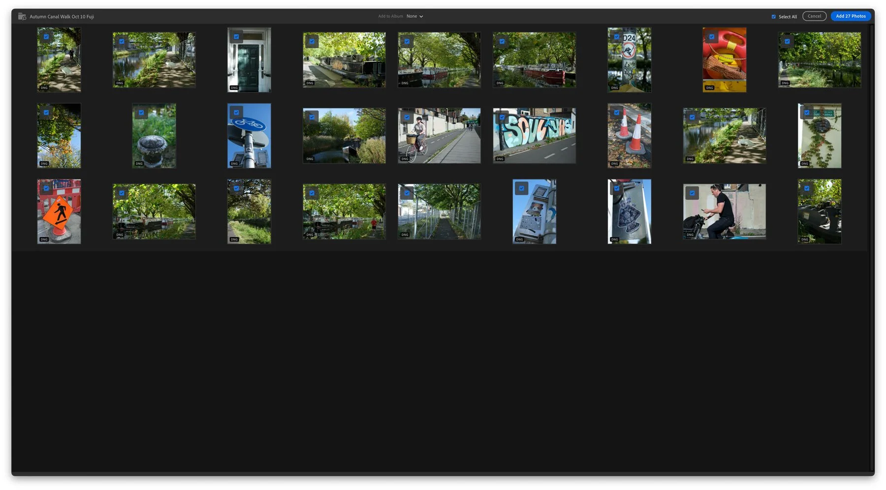 Screenshot of the Lightroom import dialog box