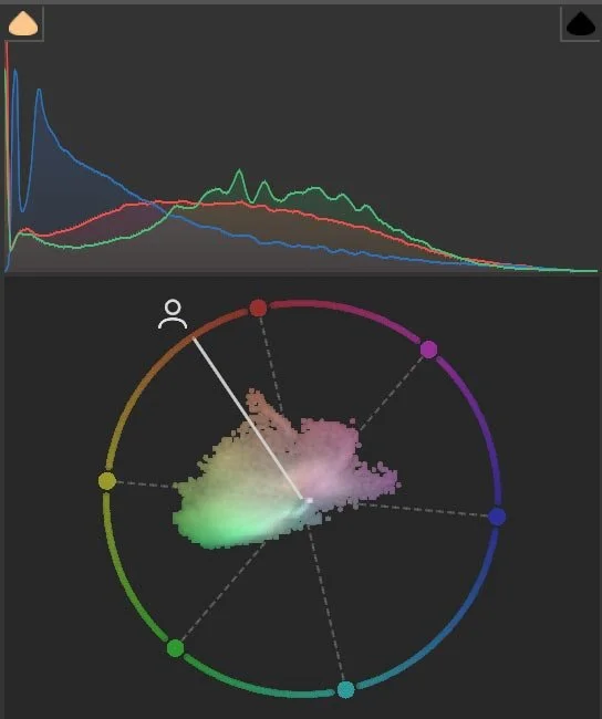 Vectorscope in Adobe Camera RAW