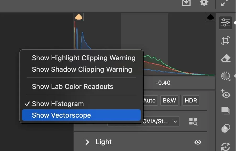 Screenshot from Camera Raw showing how to add the Vectorscope