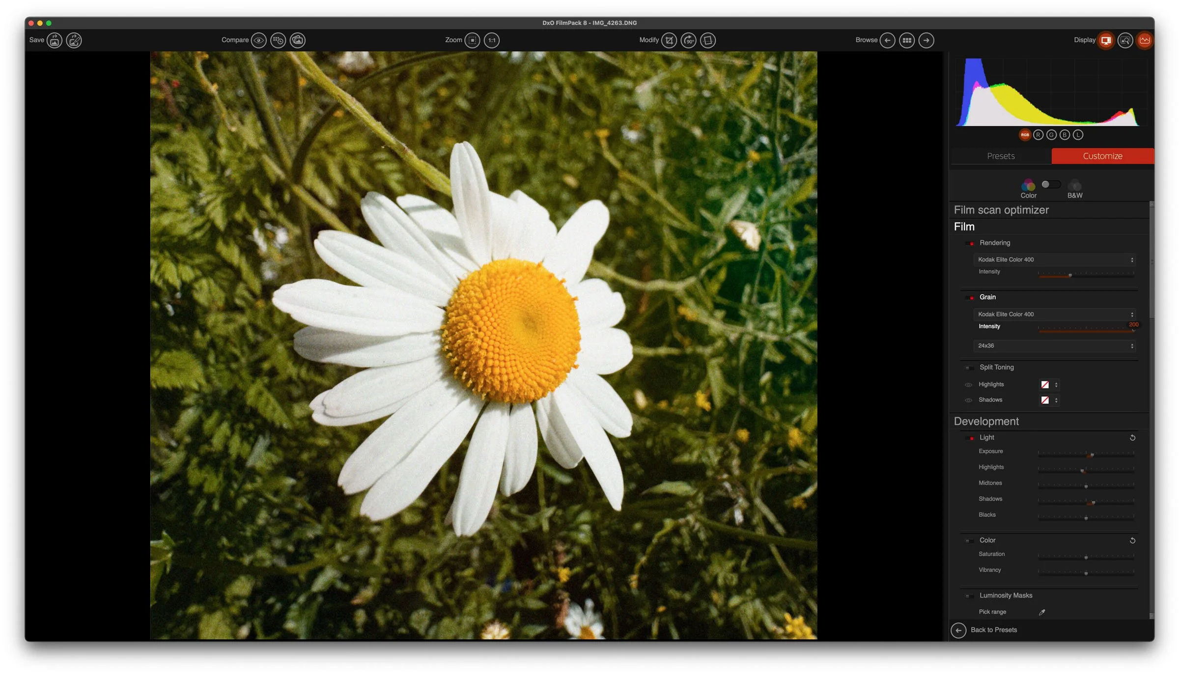DXO Film Pack With iPhone RAW image loaded