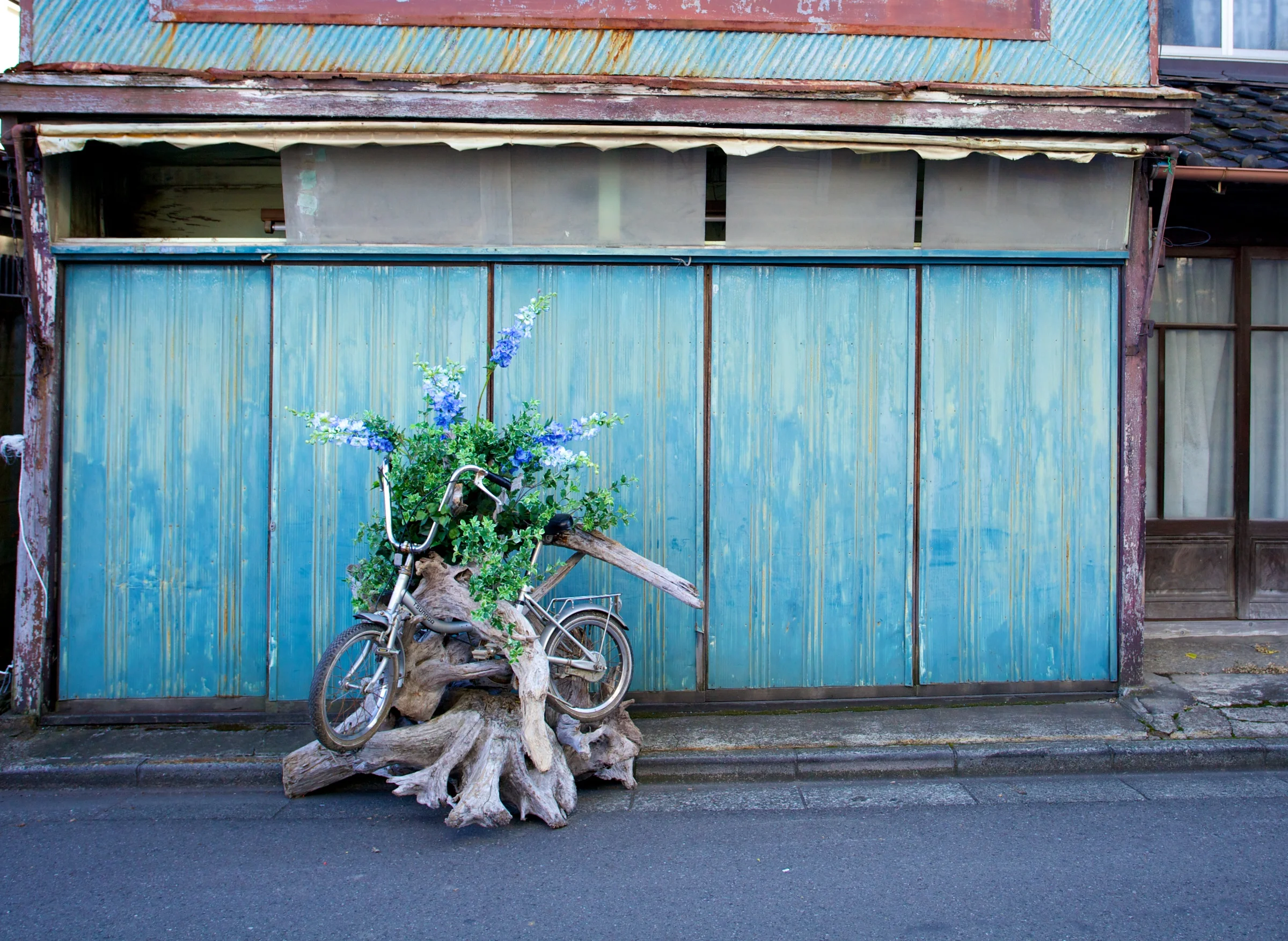 shooting with plantica