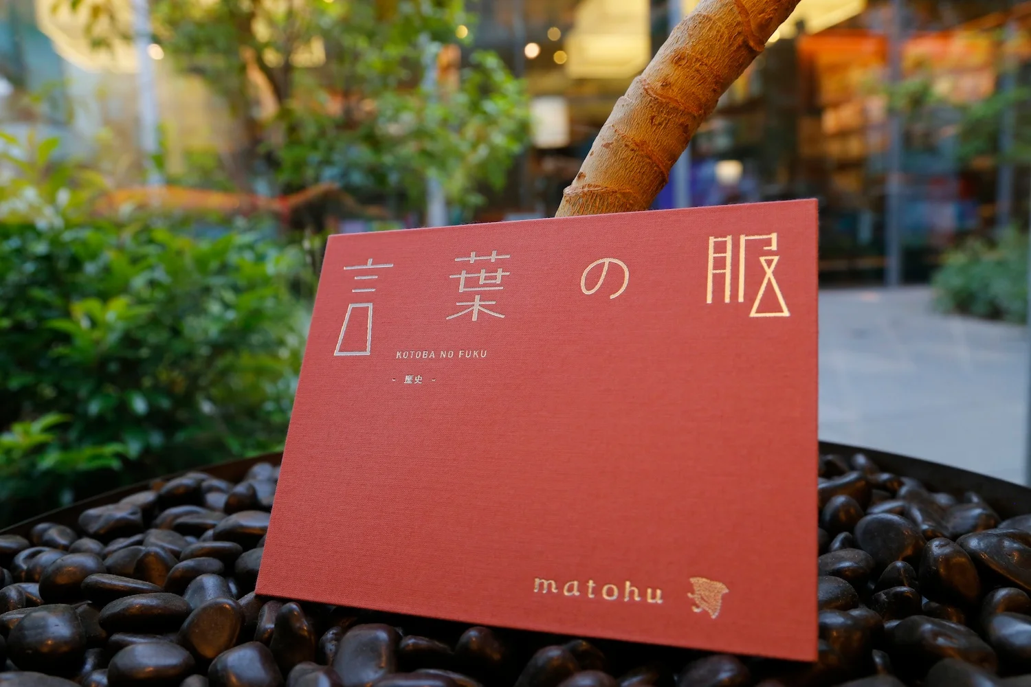 academia_matohu 003.jpg