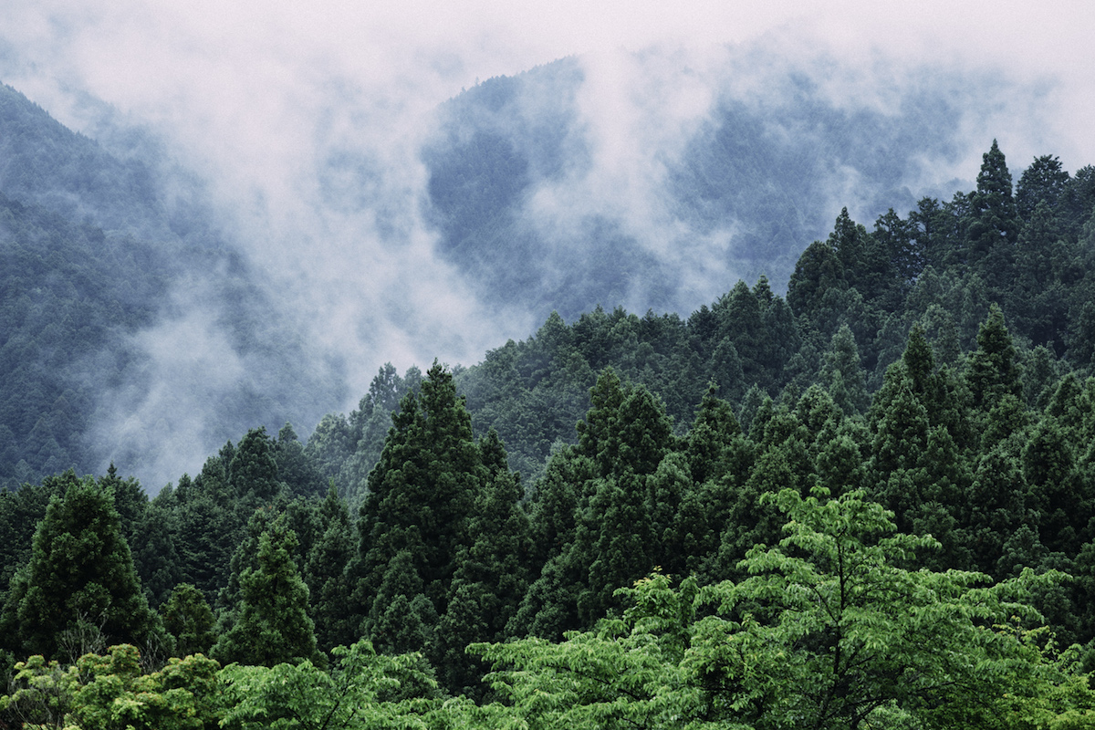 此の国の、はじまりの、原風景