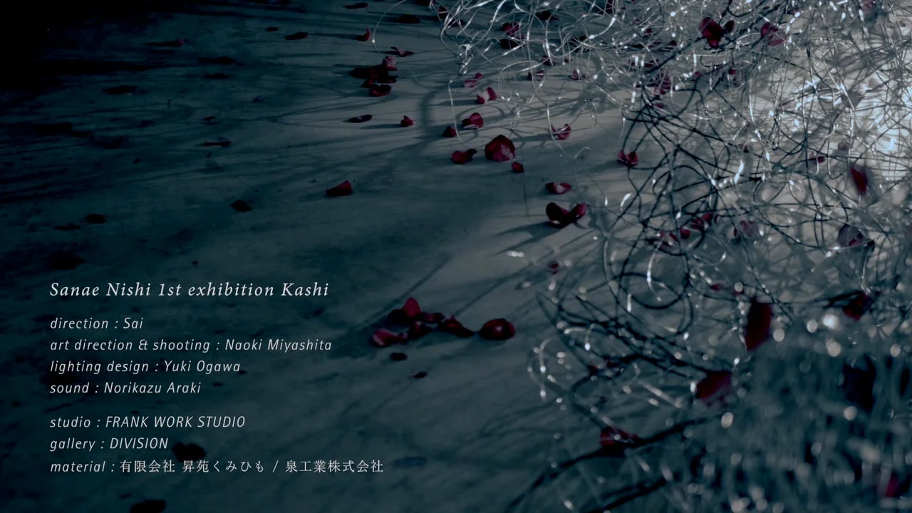 原直樹氏の作品 film — MIYASHITA NAOKI