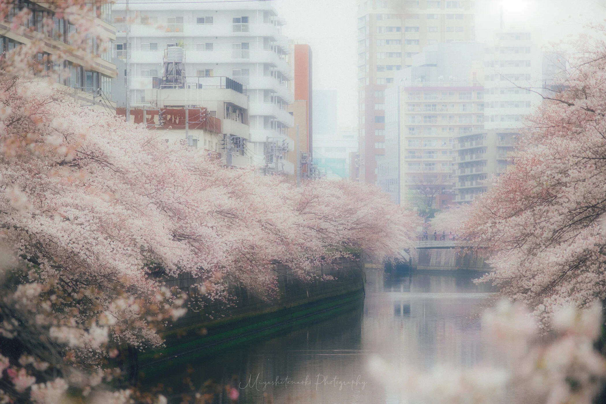 _XT31993-Edit_2.jpg