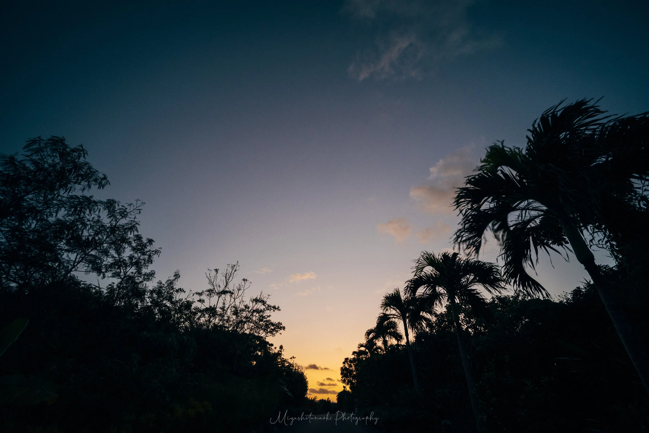  2020.12 Location : Okinawa, Japan 