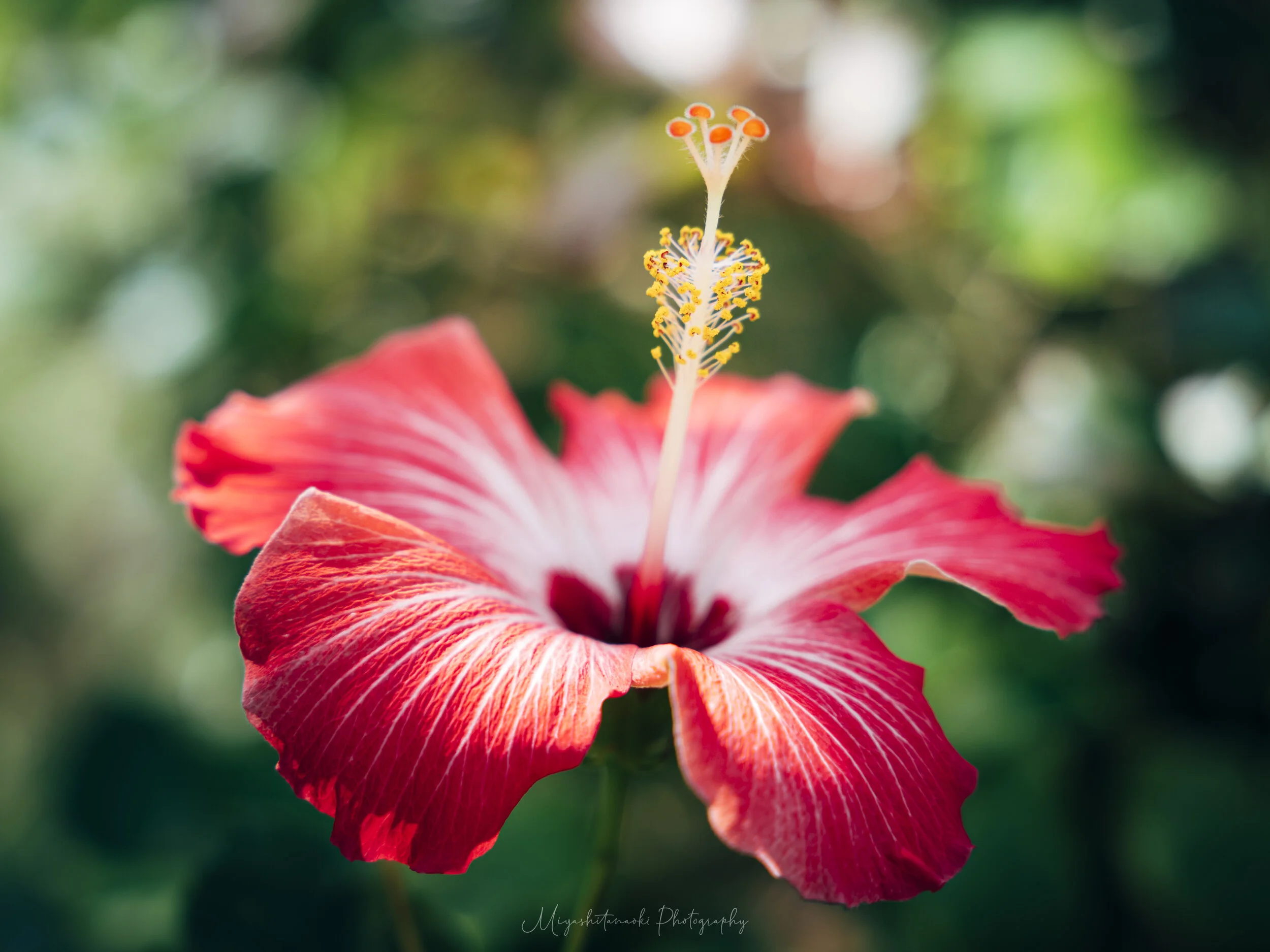  2020.12 Location : Okinawa, Japan 