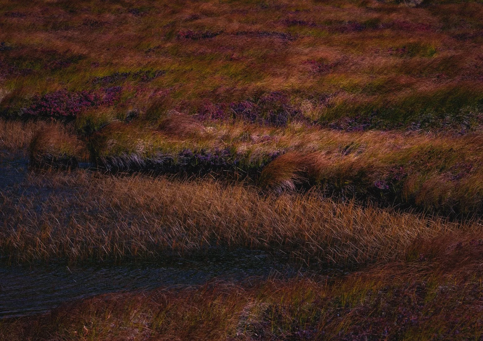 写真 2023-10-02 9 17 19.jpg