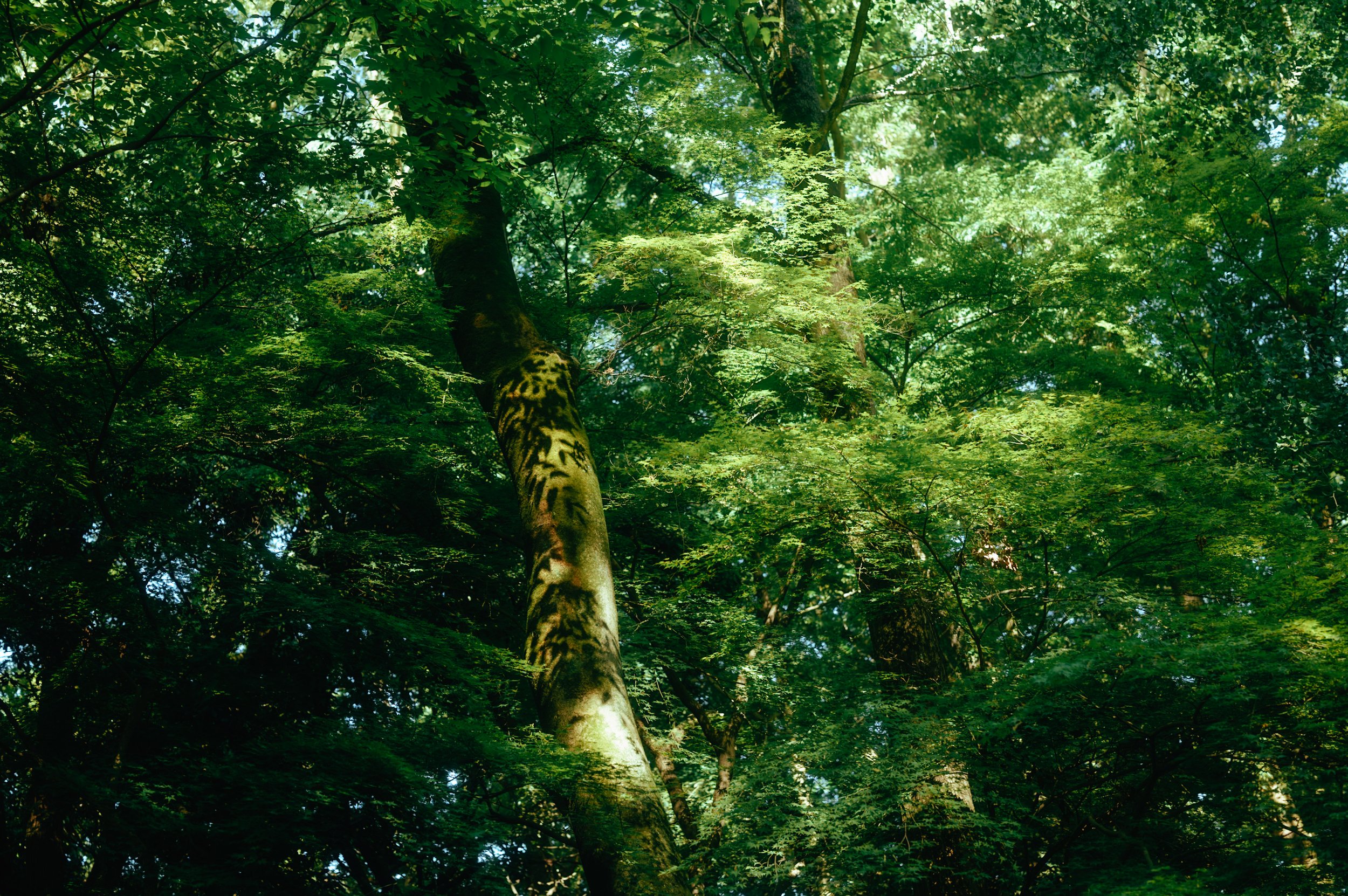 写真 2024-05-25 16 00 58.jpg