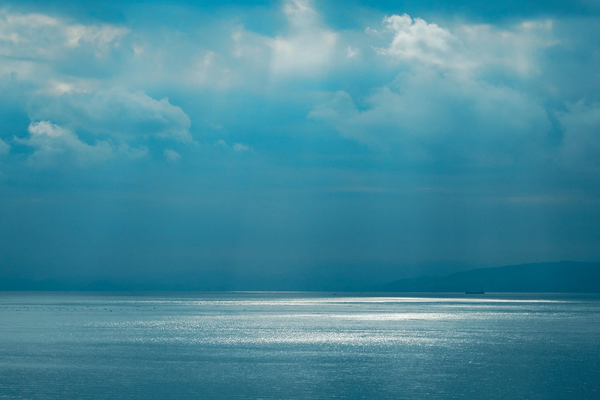 写真 2023-11-15 10 10 29.jpg