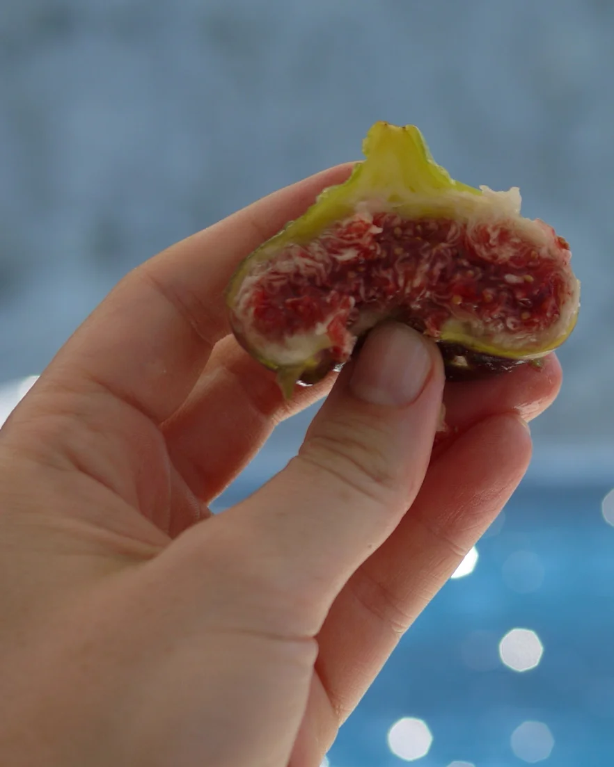 This fig is arguably frowning, yes... but I suggest that all figs are happy regardless of the shape they take when you smoosh them with your thumb after breaking them in two with your hands. All that sun and sea--how could they not be???? 