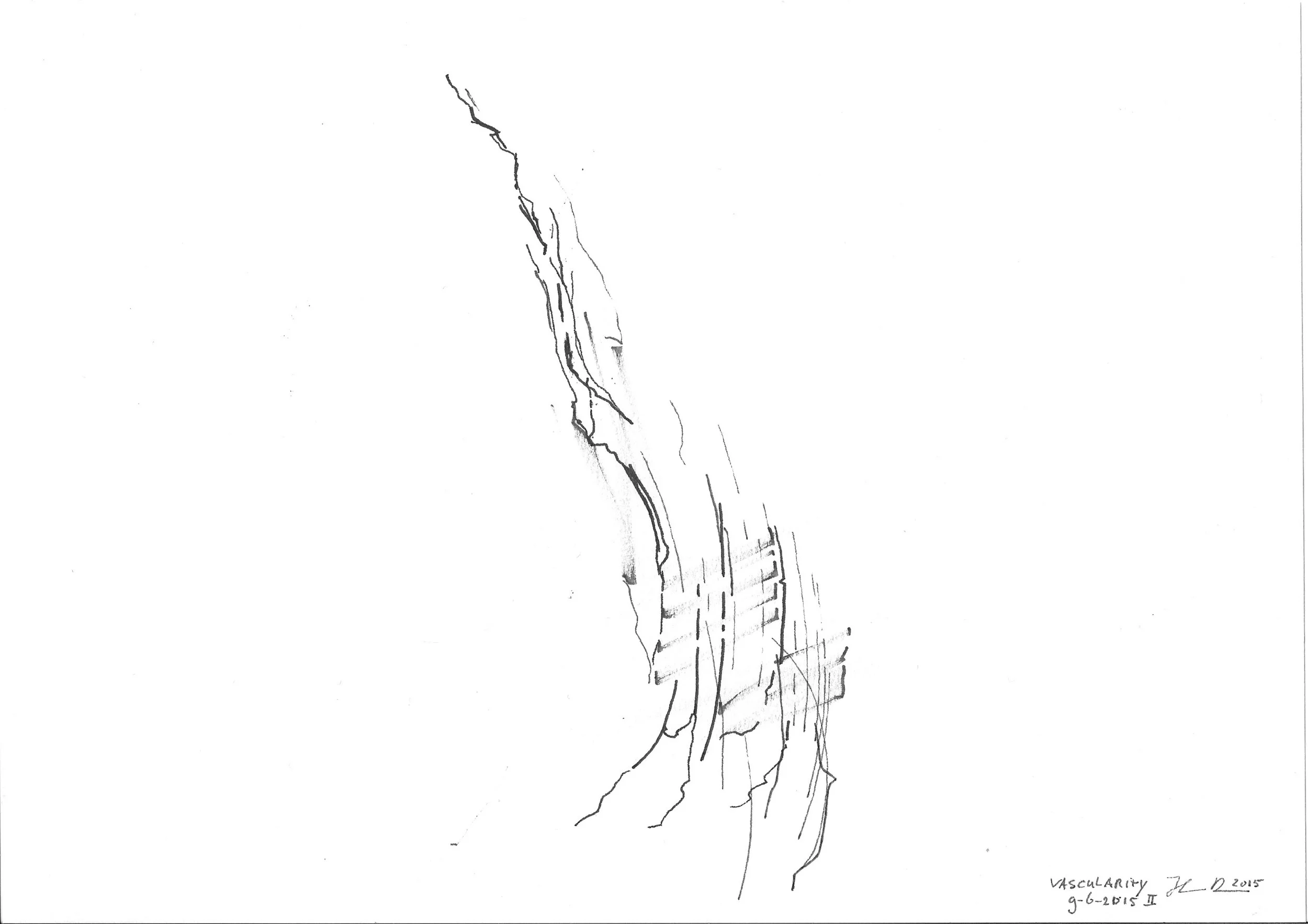 pss elements vascularity 3.jpeg