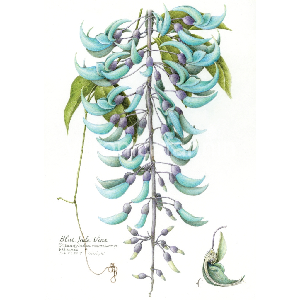 image_original_82cf61ab36f933665e5742d1e582f972.png