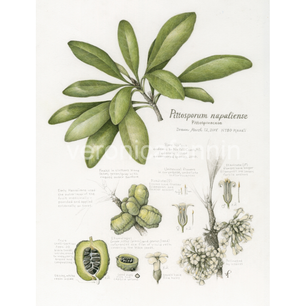 image_original_82cf61ab36f933665e5742d1e582f972.png