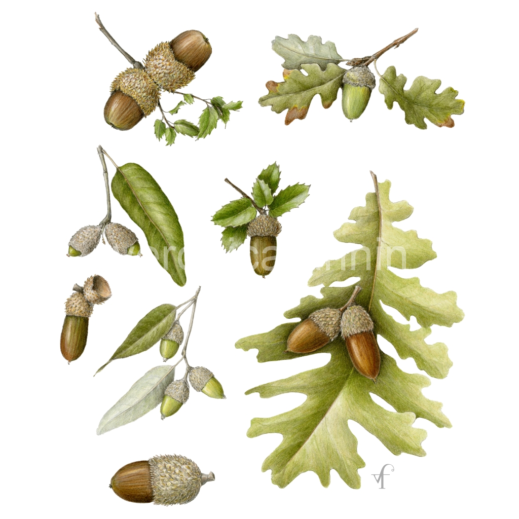 image_original_82cf61ab36f933665e5742d1e582f972.png