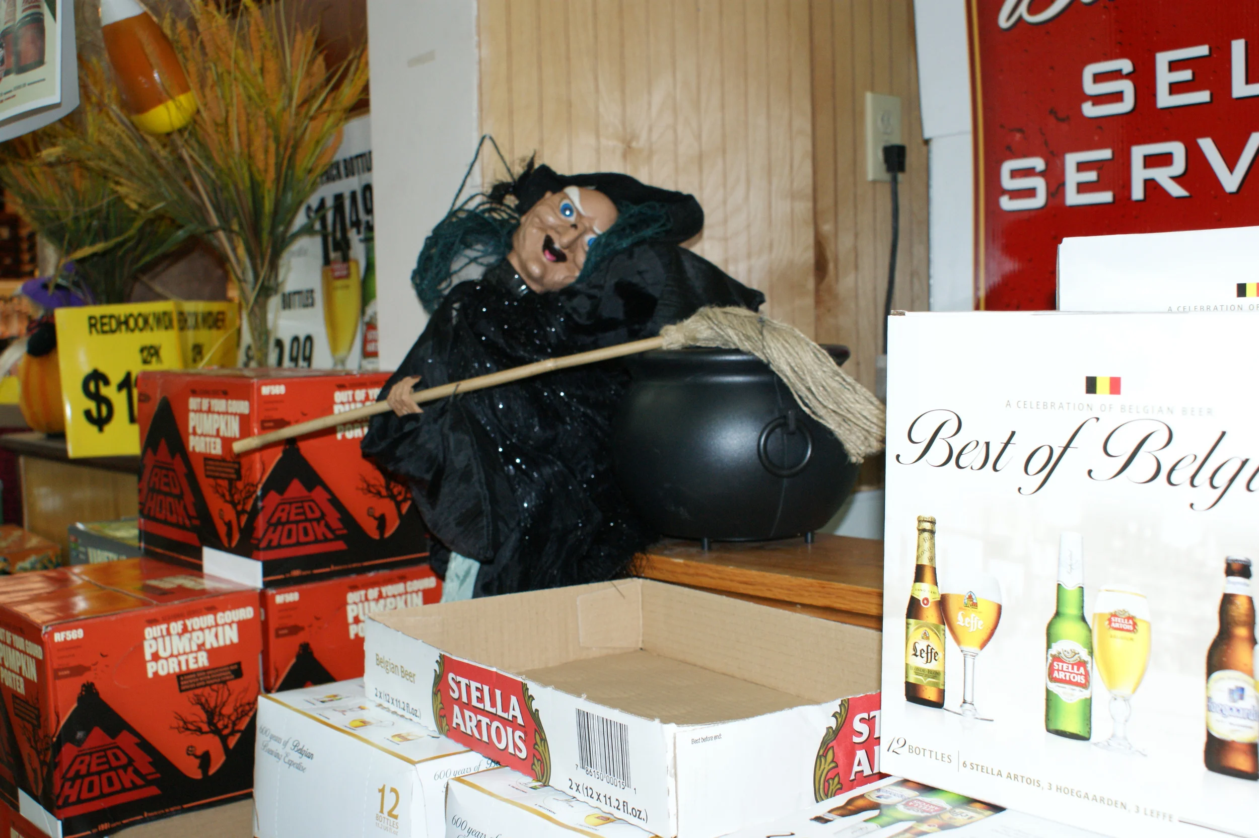 Halloween Witch.jpg