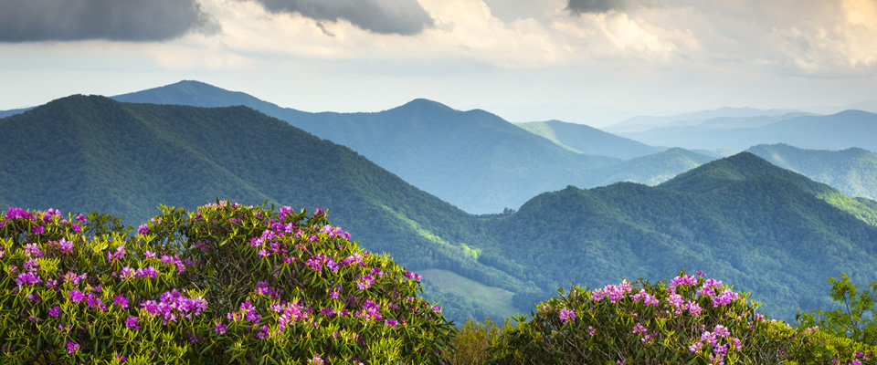 rhodo-mountains.jpg