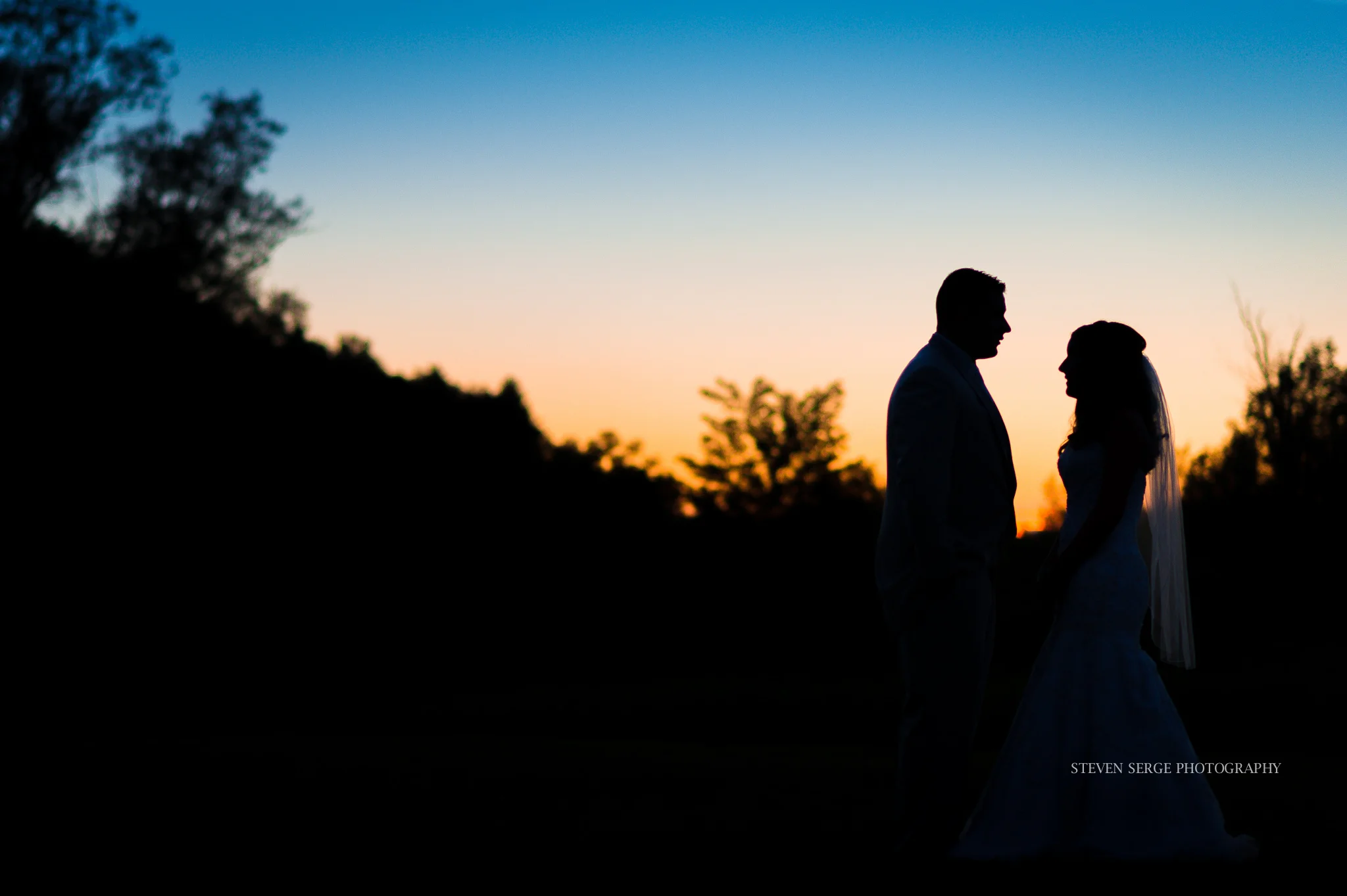 Clarks-Summit-PA-NEPA-Wedding-Photographer-Inn-Abingtons-Party-photography-steven-serge-33.jpg