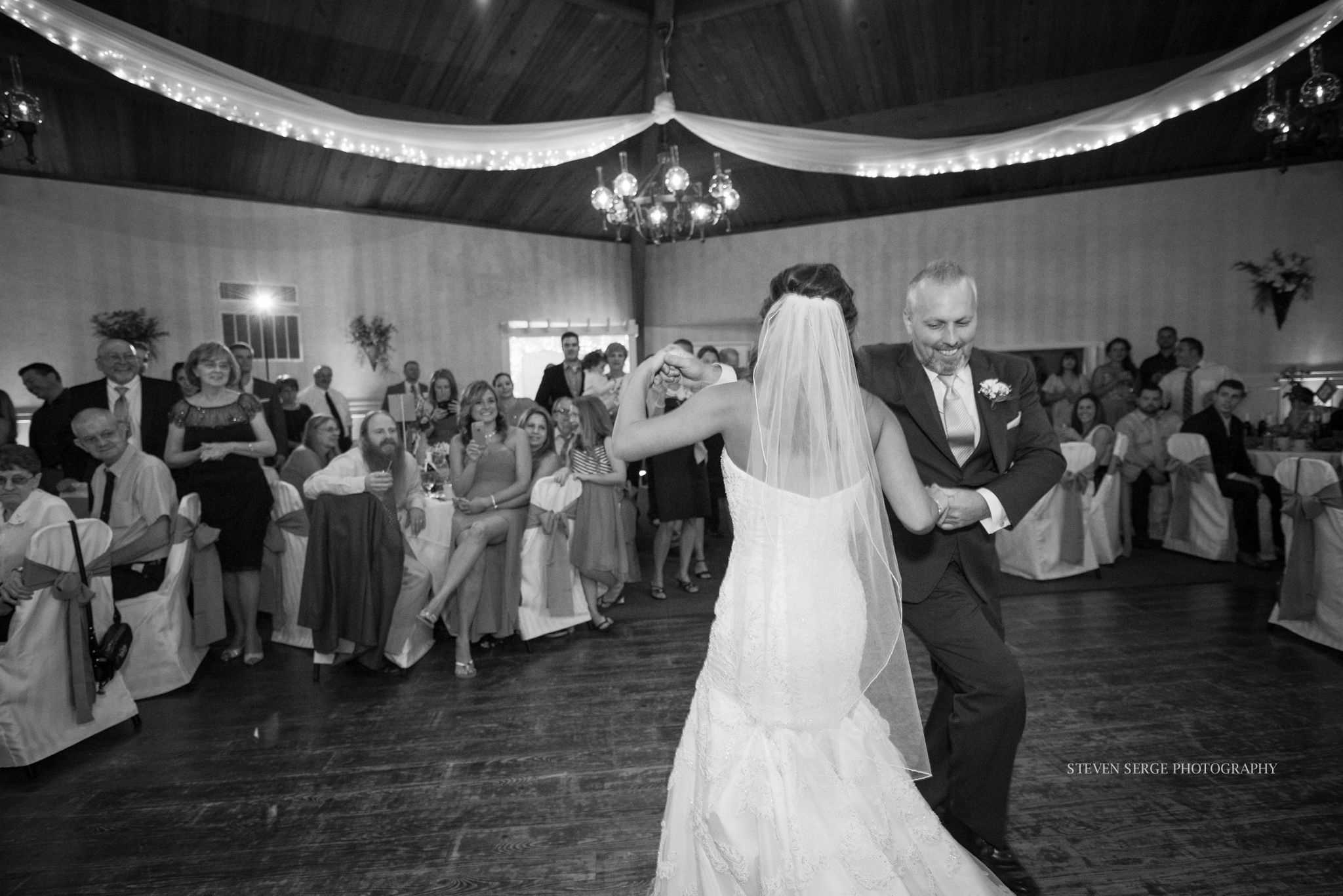Clarks-Summit-PA-NEPA-Wedding-Photographer-Inn-Abingtons-Party-photography-steven-serge-43.jpg