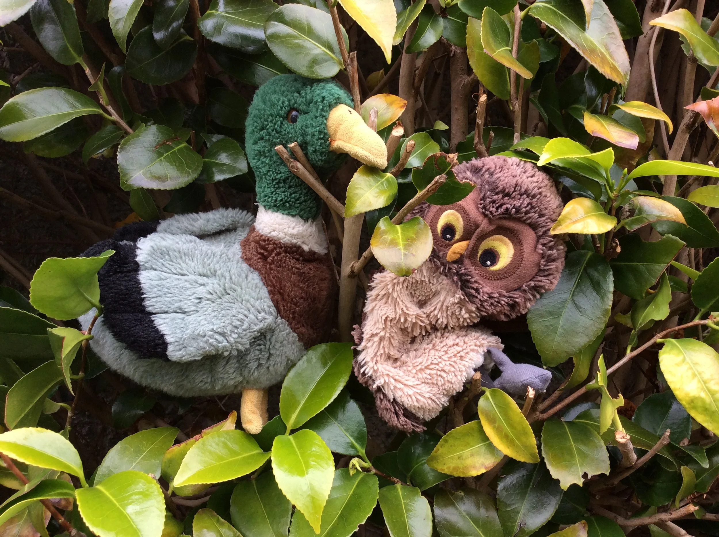 The World Where I am - Stirling