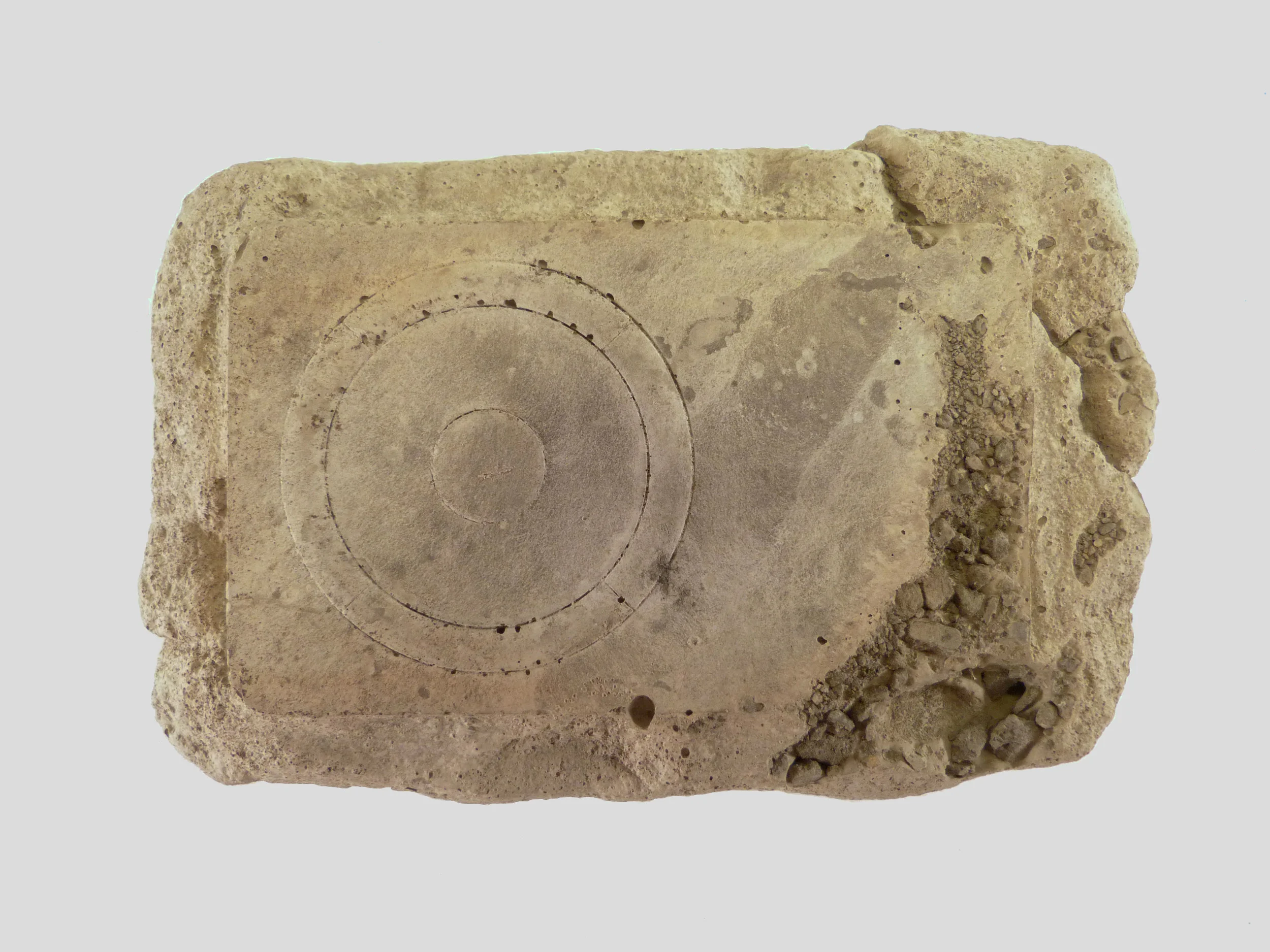 Egosiliqua malusymphonicus