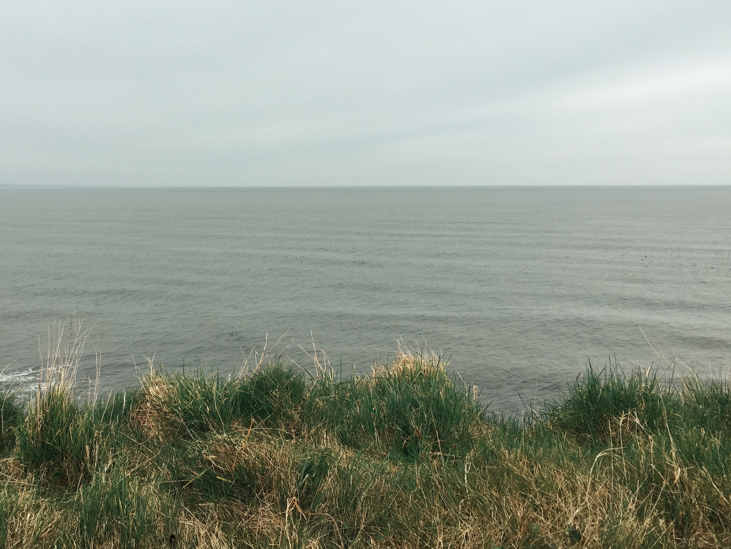 St. Andrews coastline