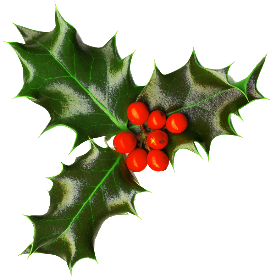 Holiday Art &amp; Craft Sale