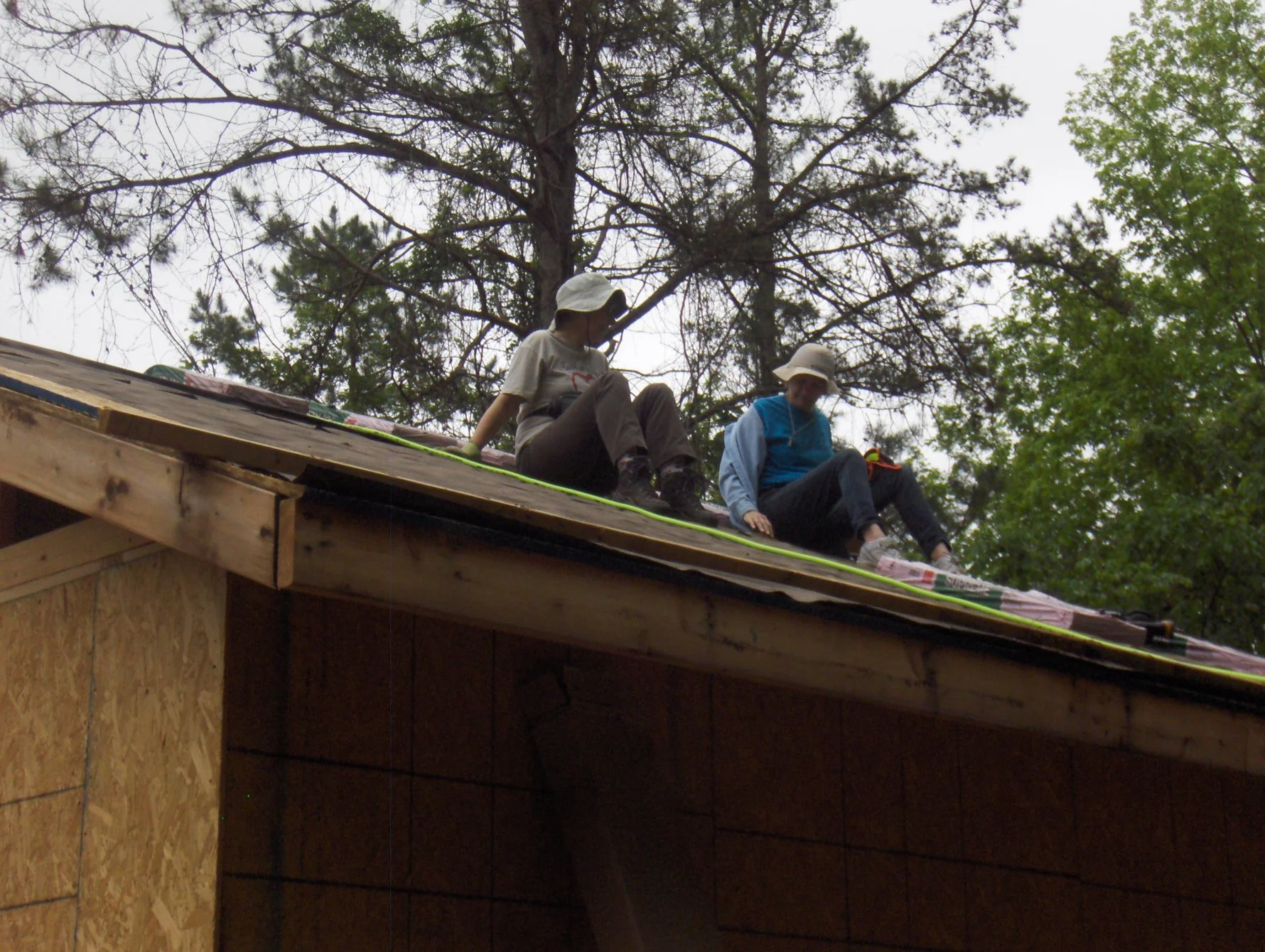 rooftops.jpg