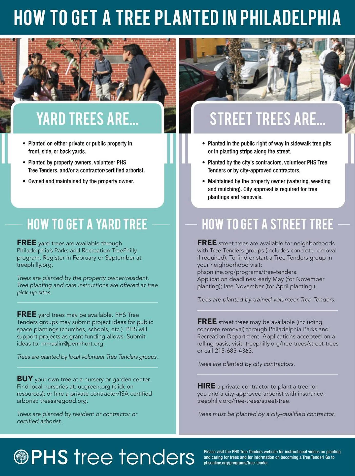 TREE.jpg