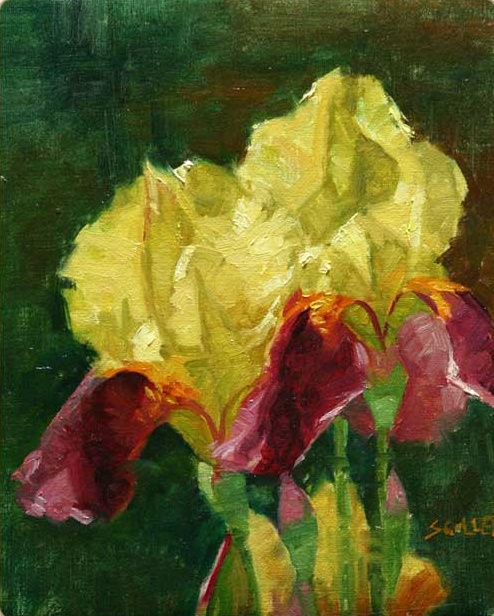 "Irises" oil 10"x8"