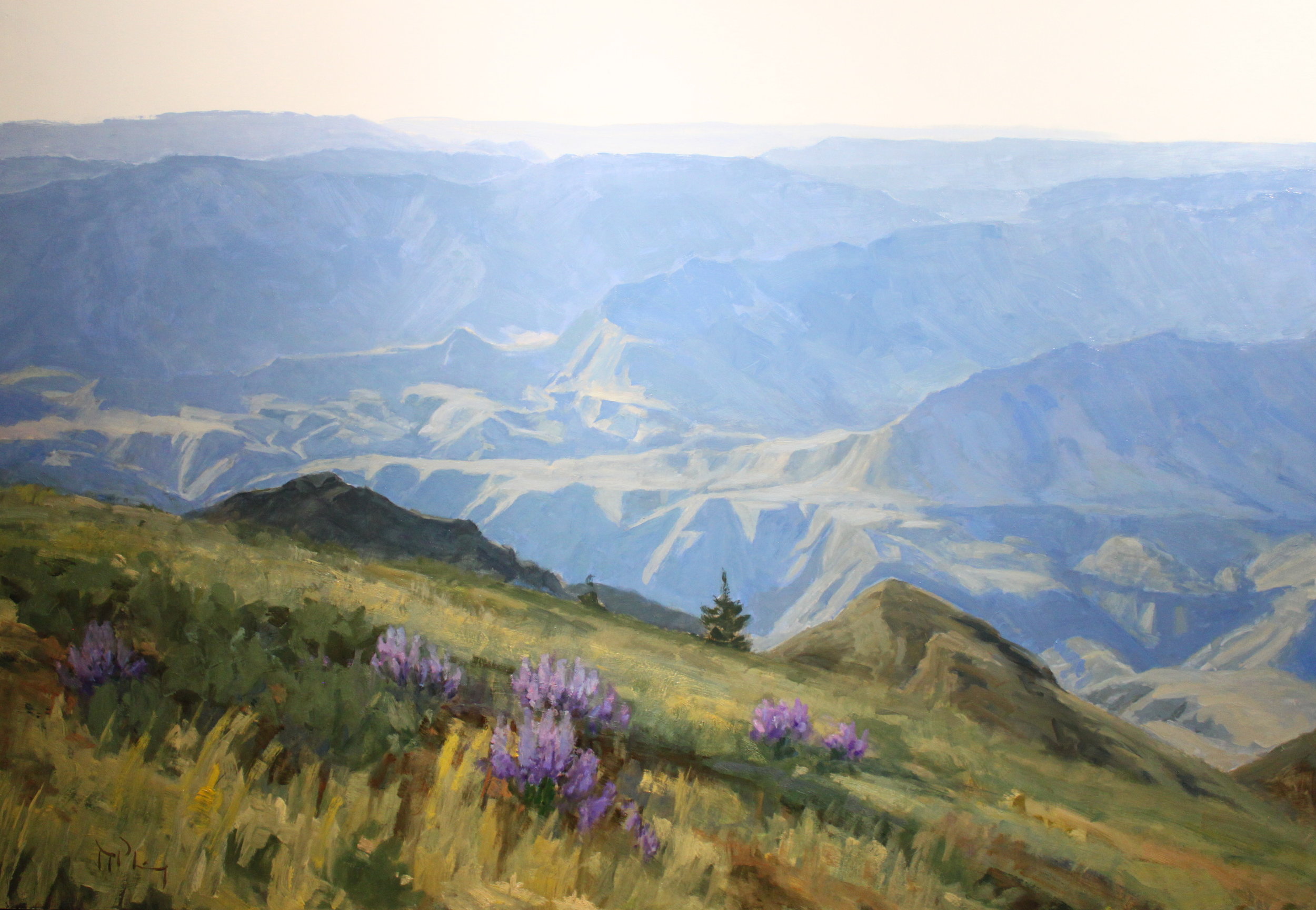   “View from Buckhorn” oil 33”x48”   SOLD 