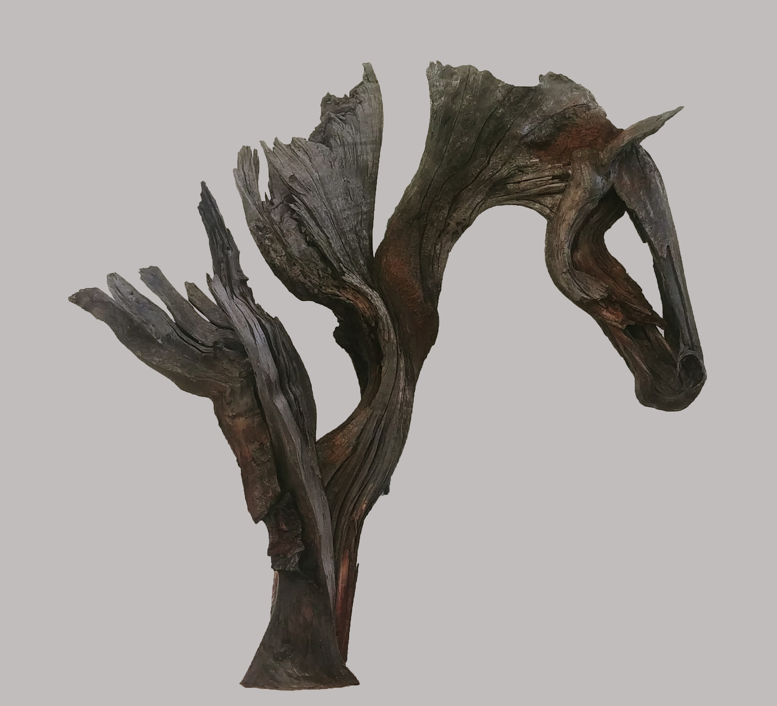 new horse.jpg