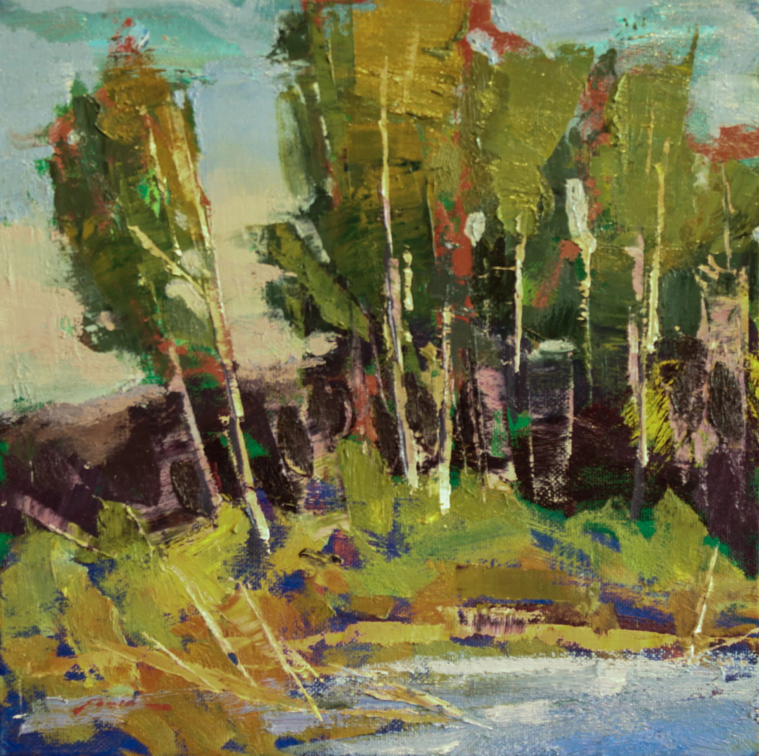"Deschutes Aspen" oil 12"x12"