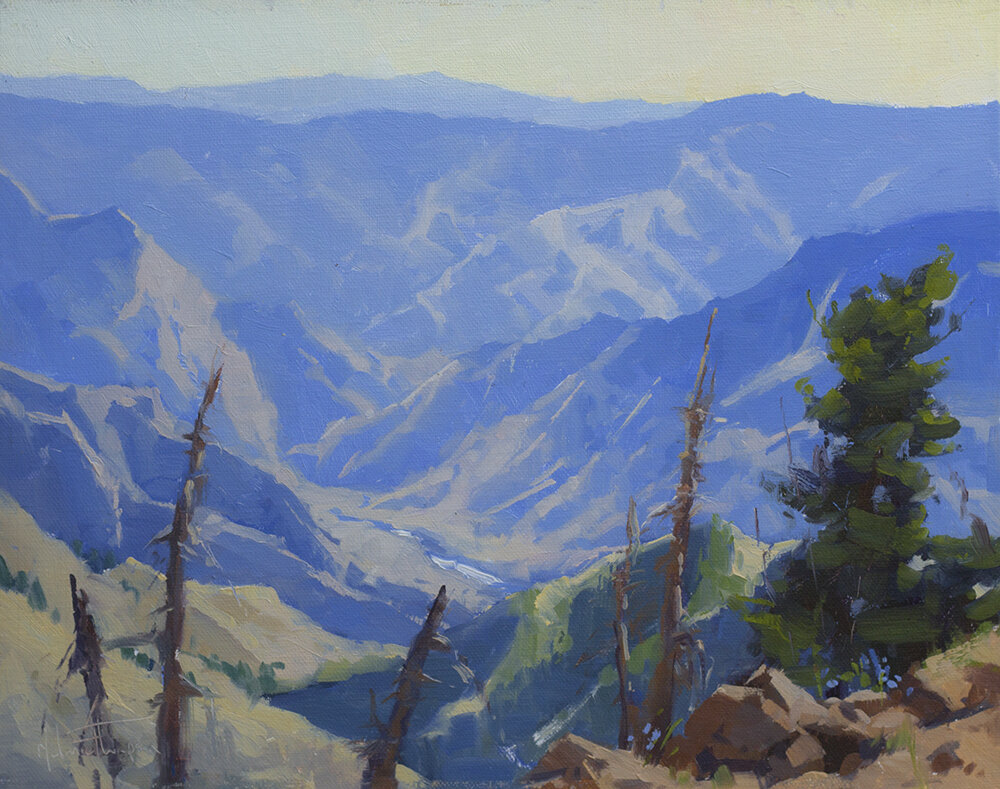 "5000 Feet Above the Snake" oil 8x10
