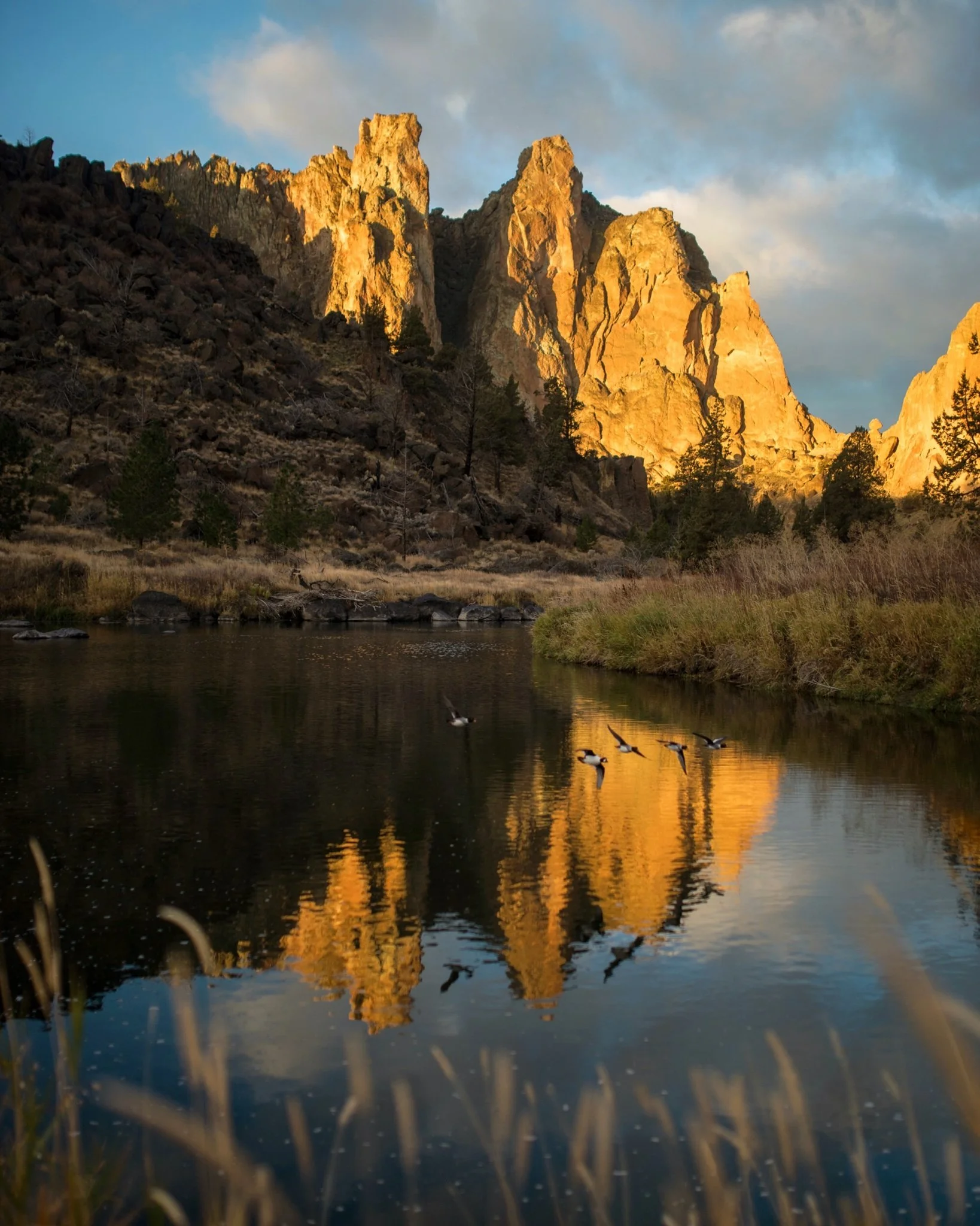 TANNER WENDELL STEWART
