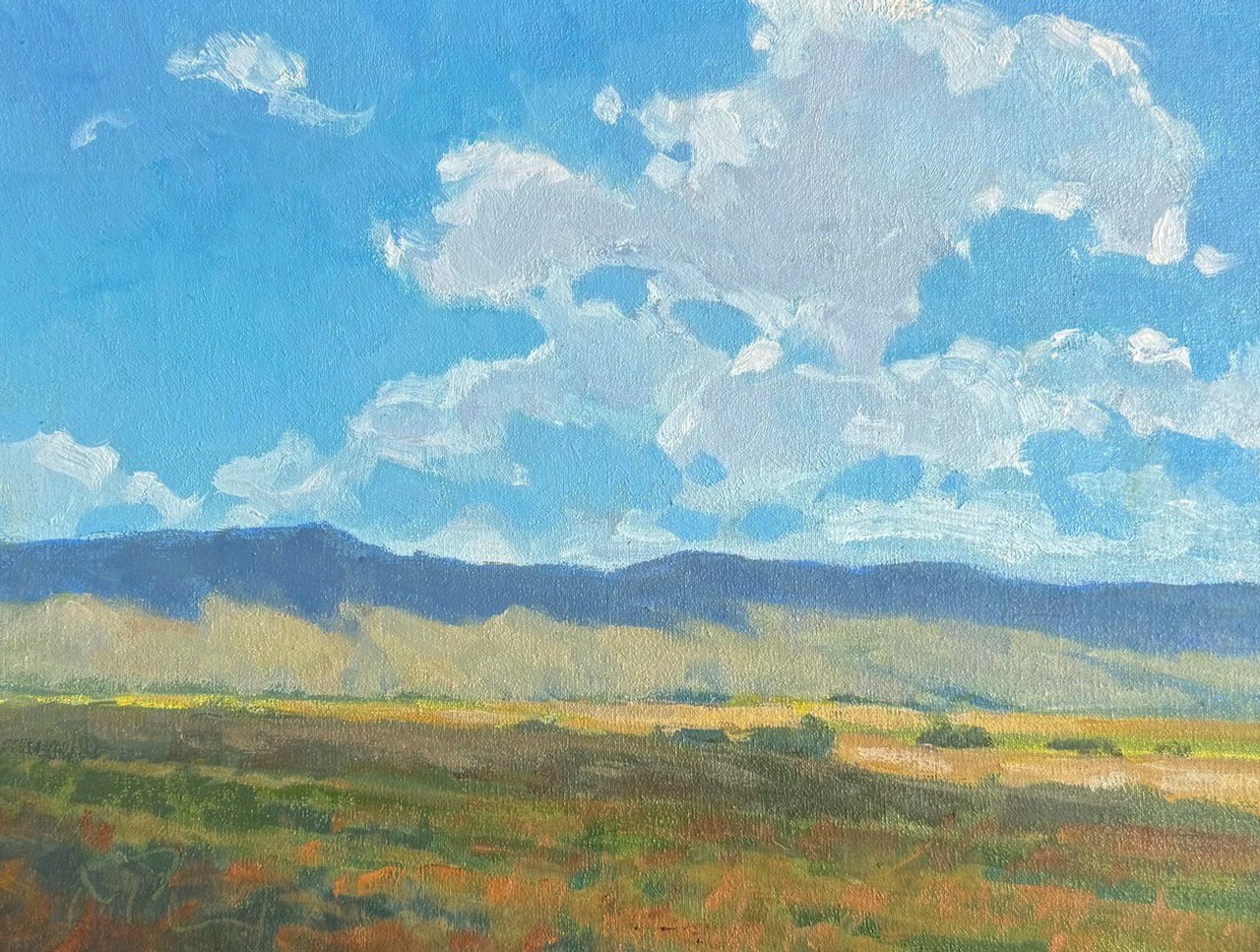 BLUE MOUNTAINS

 

 11”X14” OIL  $1,200. 