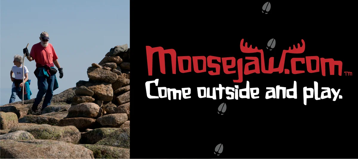 MooseJaw BillBoard Concepts3 WEB.jpg